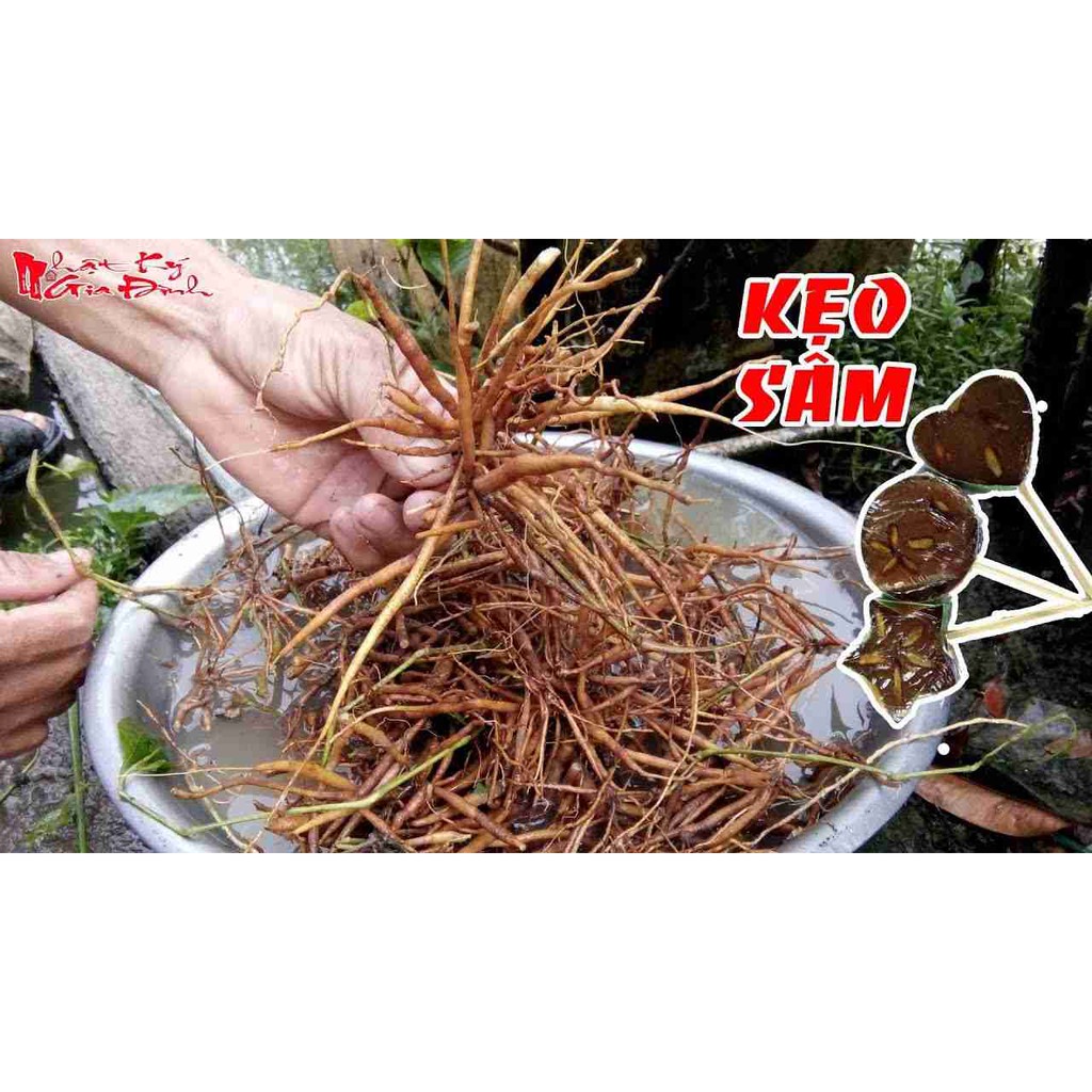 Cây Nổ - Sâm Tanh Tách khô (1kg)