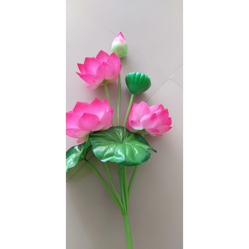 Hoa Sen Giả- Hoa S.ú.n.g- Sen Lụa