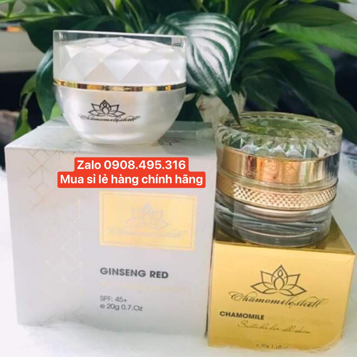 [HCM]COMBO TÁI TẠO và KEM HỒNG SÂM CHAMOMILESKILL