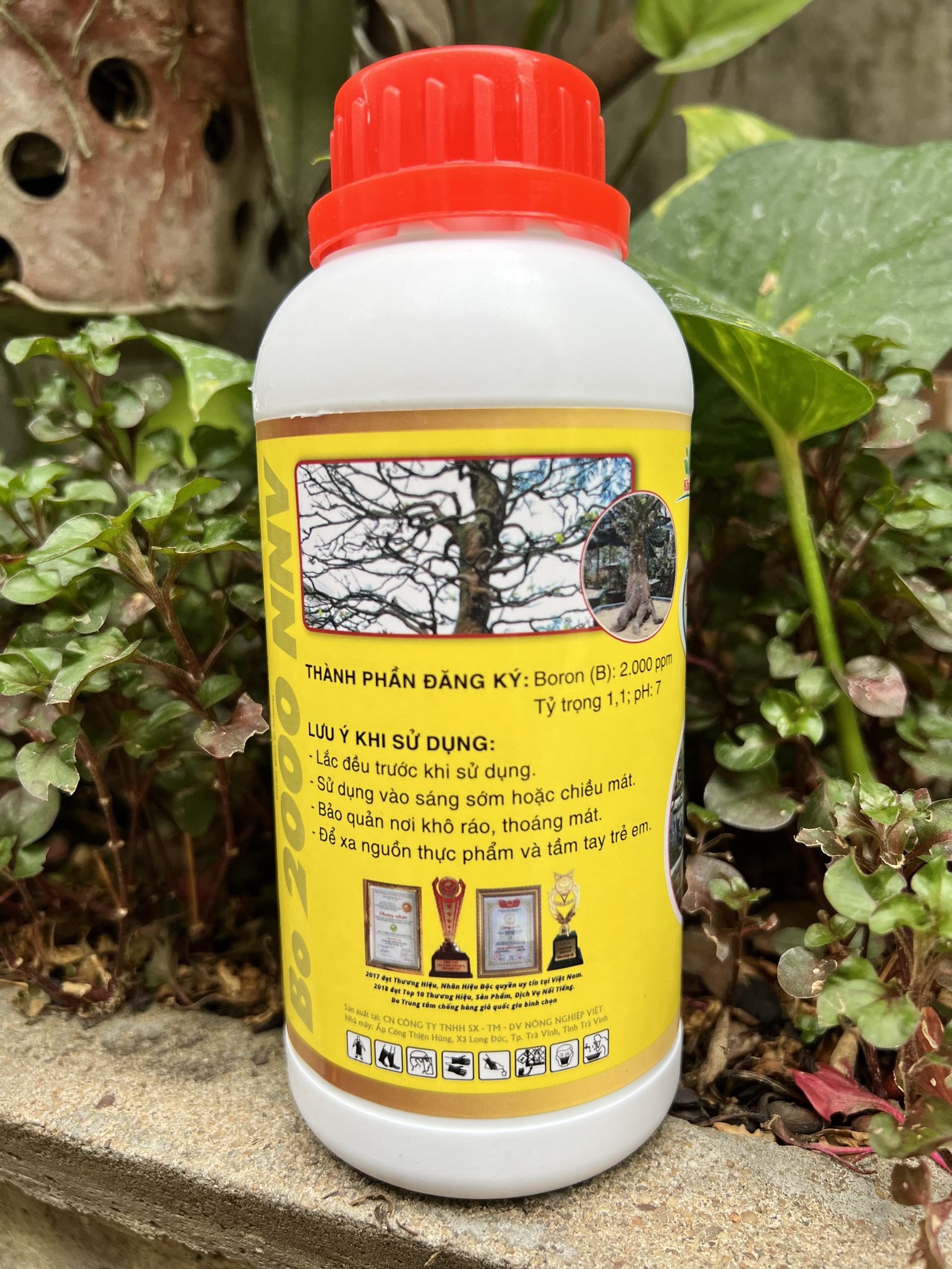 Phân Bón Mập Thân Nở Đế Chuyên Mai Vàng Max Root Chai 0,5 Lít