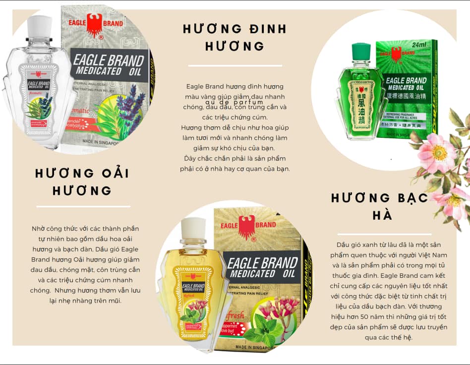 Dầu Xanh Con Ó Eagle Brand 24ml – Mỹ