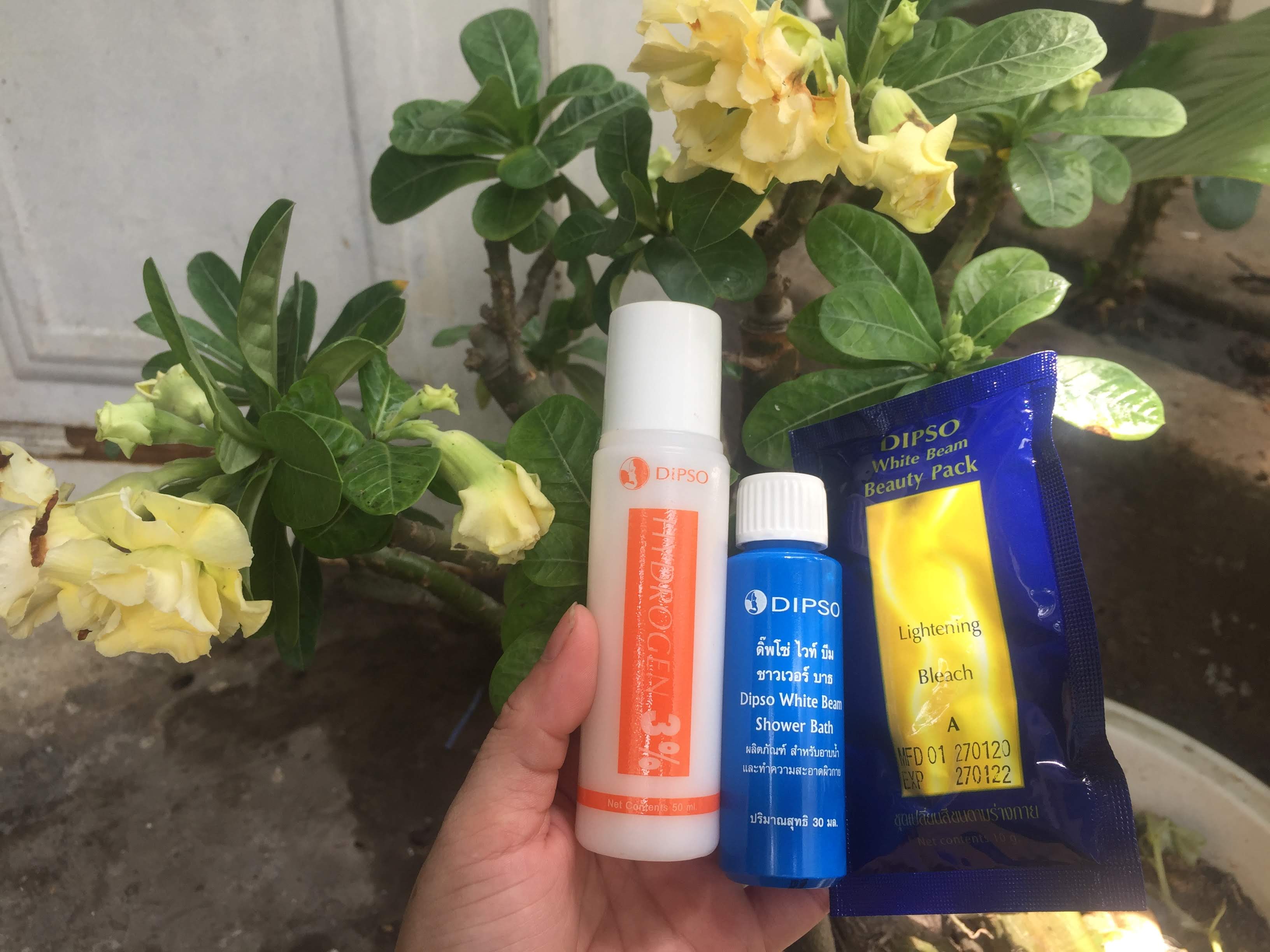 Sét tắm trắng da từ thiên nhiên DIPSO Thái Lan 90 ml