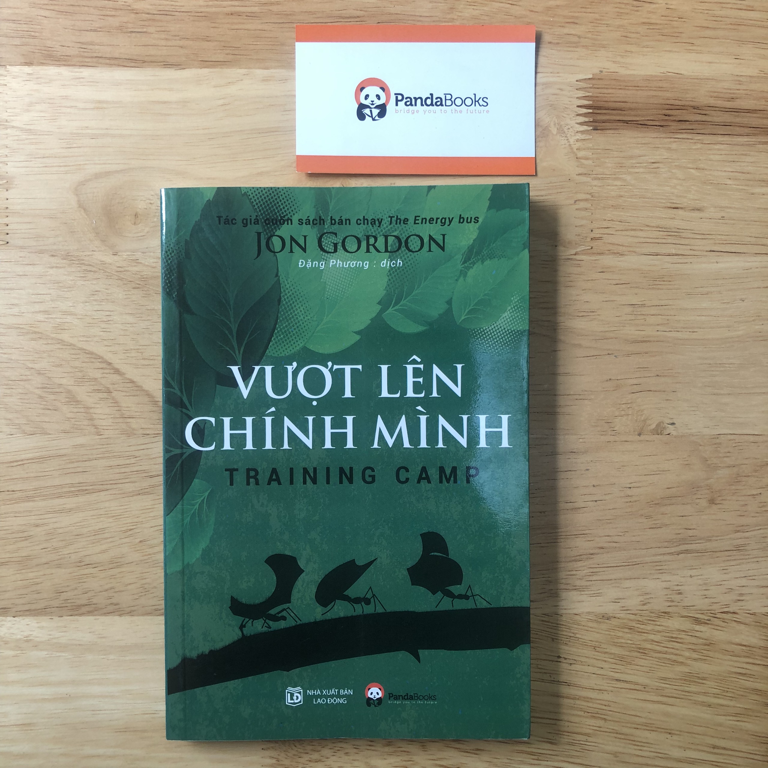 Vượt Lên Chính Mình