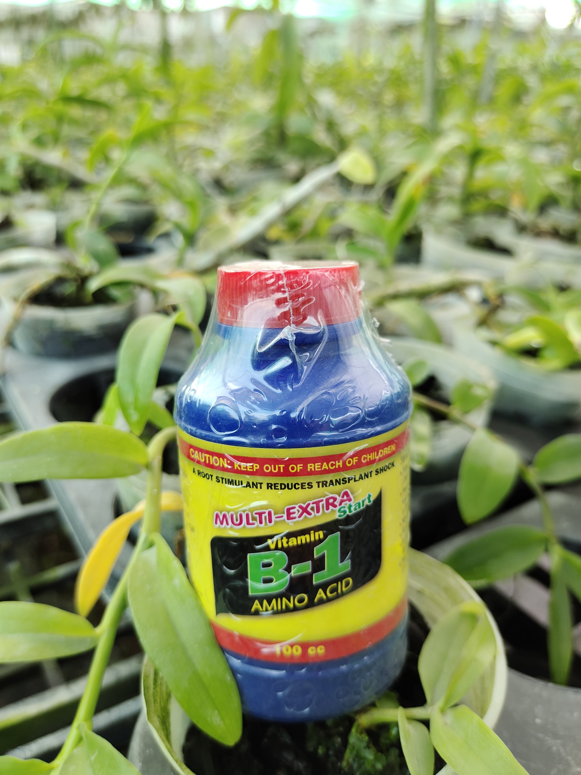 Phân Bón Lá Vitamin B1 Nhập Khẩu Thái Lan