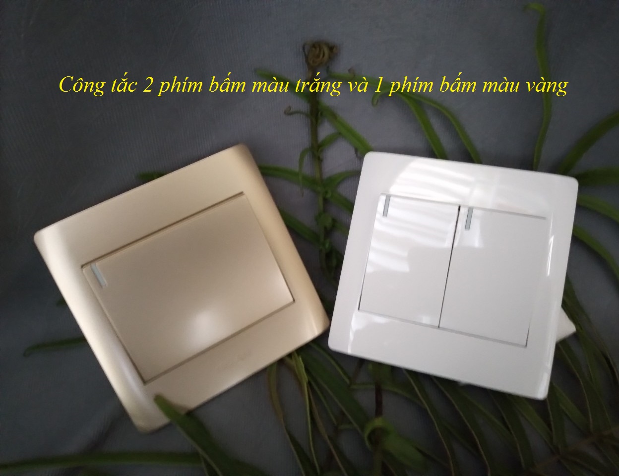 Công tắc điện 2 phím bấm, 1 chiều (2 chiều)