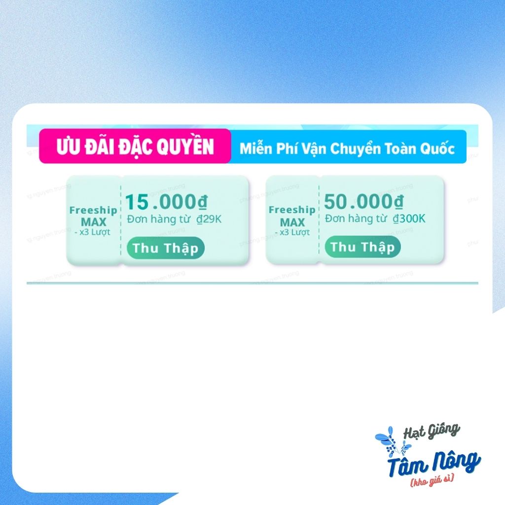 Hạt giống Cải bó xôi (rau BINA) chịu nhiệt Tâm Nông  gói 20g. Freeship đơn hàng từ 29k