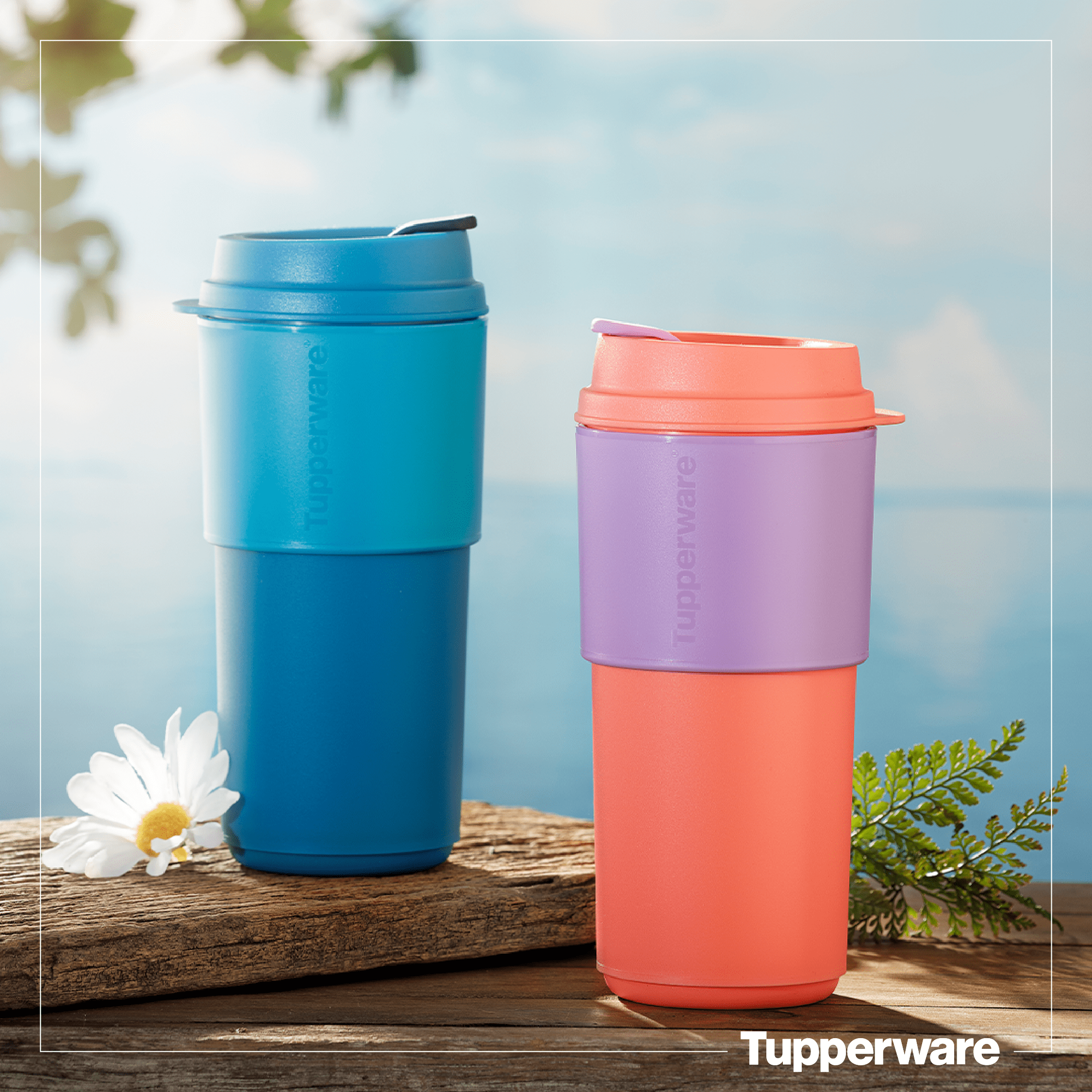 Ly Tupperware Coffee To Go 490ml