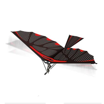 Chim Luban Bird
