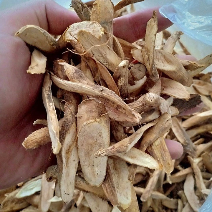 Củ gai 1kg (an thai)