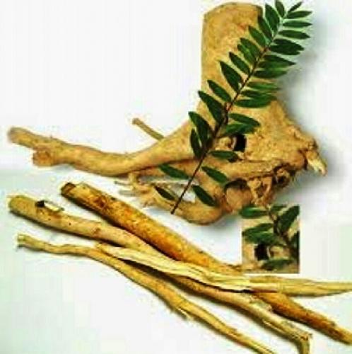 01 Kg củ Mật nhân khô, thái lát
