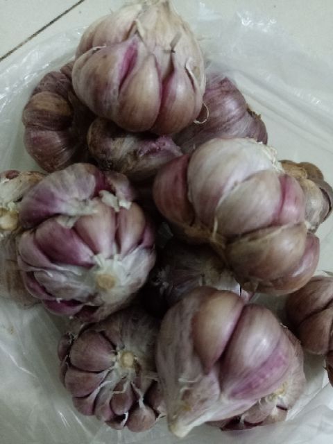 Tỏi Tía nhà trồng 500gr