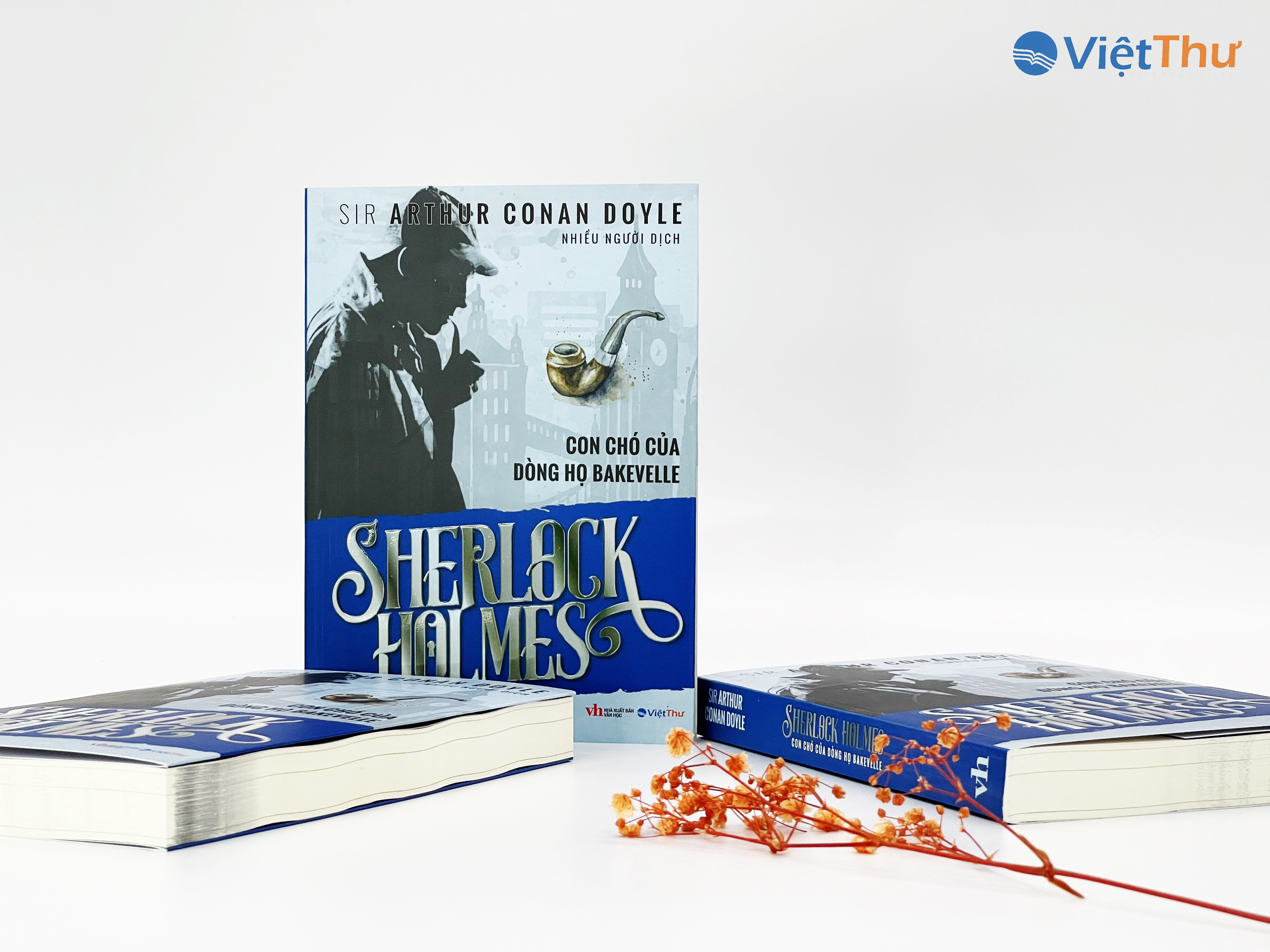 Sherlock Holmes - Con Chó Của Dòng Họ BAKJEVELLE (Bìa Mềm)(VT)