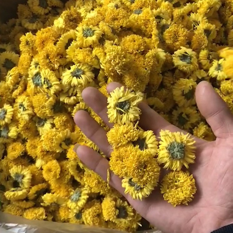 [HCM]Trà hoa cúc hàm hương Salem 100g