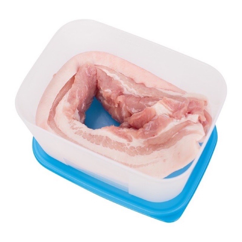 Hộp trữ đông Tupperware 650ml dẹt