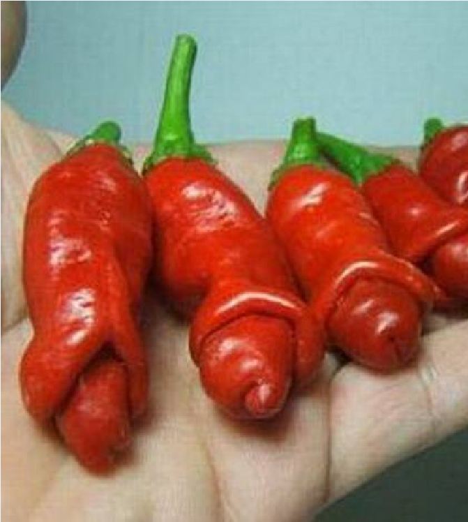 "Gói 10 "Hạt giống ớt peter ( ớt cu tí ) [Seeds]