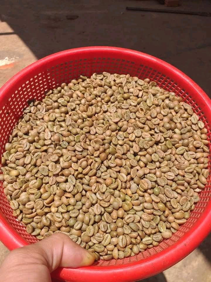 Nhân Xanh Cafe Robusta Honey