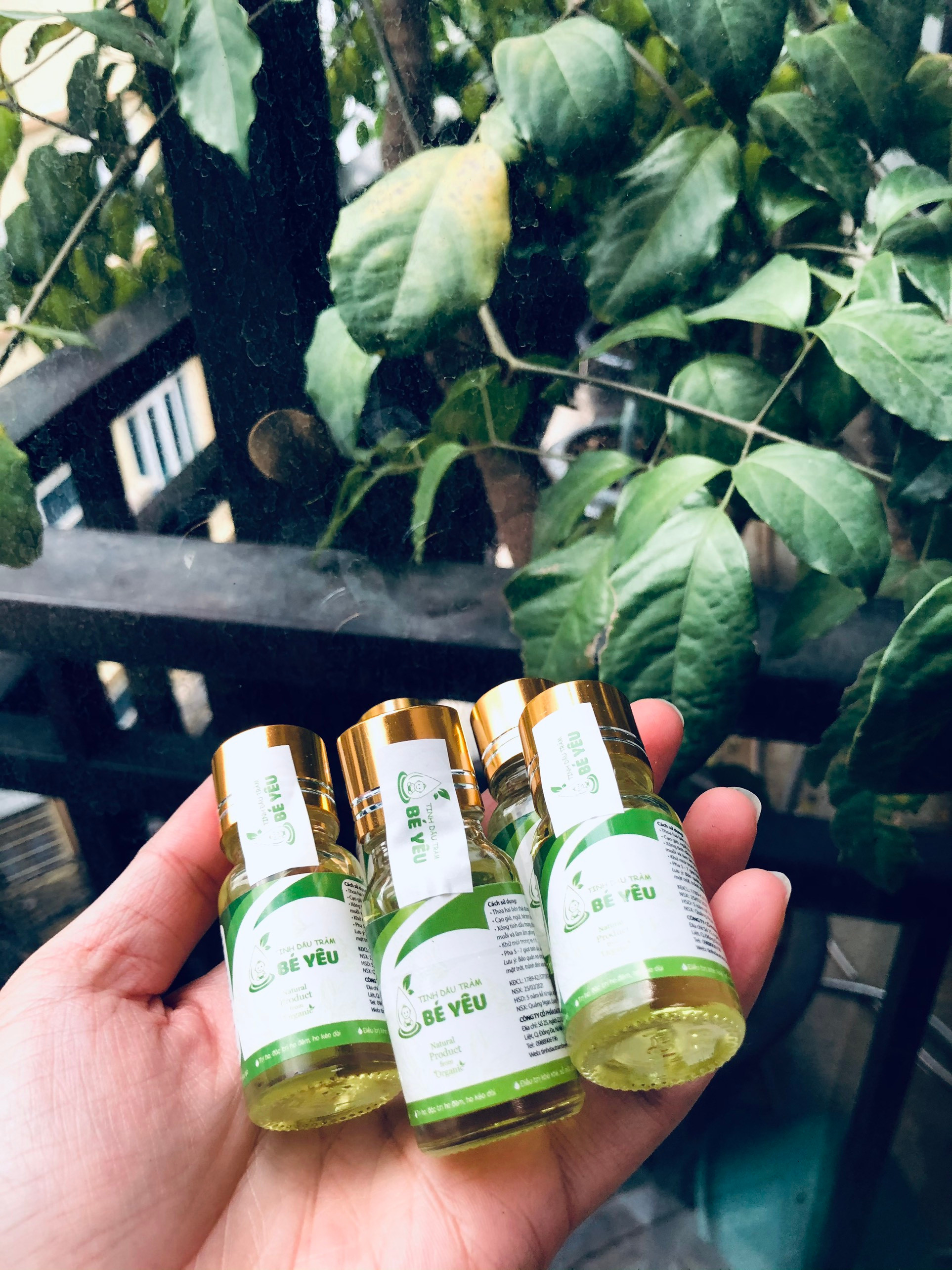 Tinh dầu tràm bé yêu mini (loại 10ml)