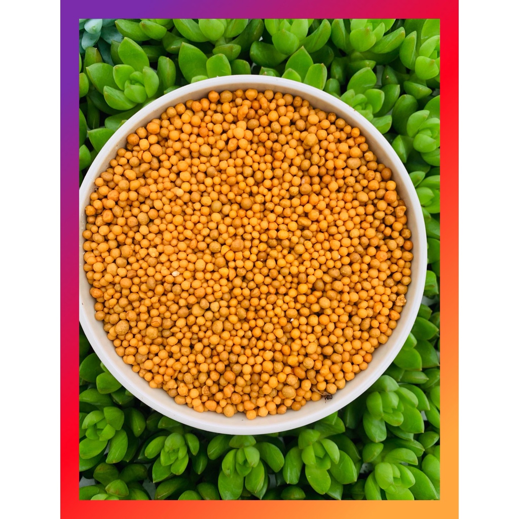 Phân tan chậm SONDA GARDEN (100g) bổ dưỡng dành cho sen đá