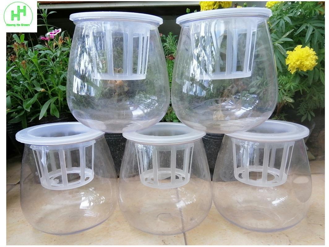 ComBo 5 Chậu Nhựa Trồng Cây Thủy Sinh, Kích Thước 10x10x13Cm
