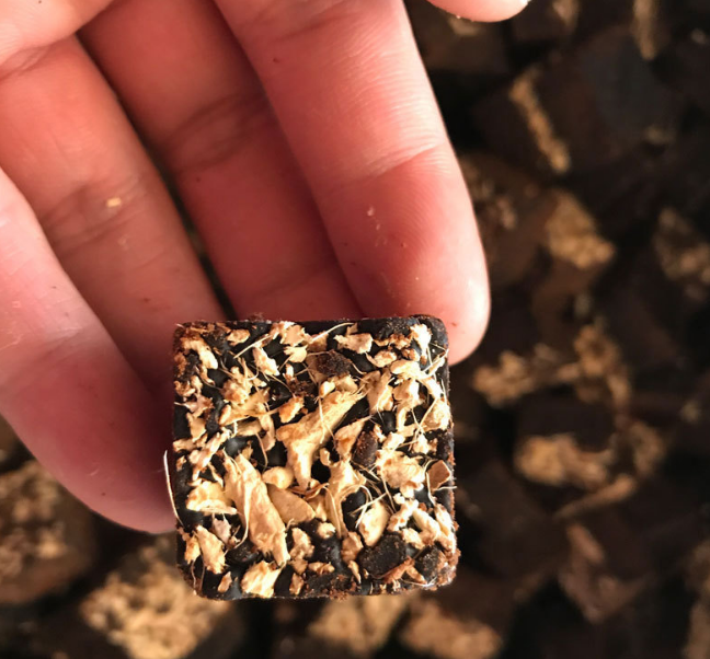 💥 (500G) TRÀ GỪNG ĐƯỜNG NÂU CỔ TRUYỀN