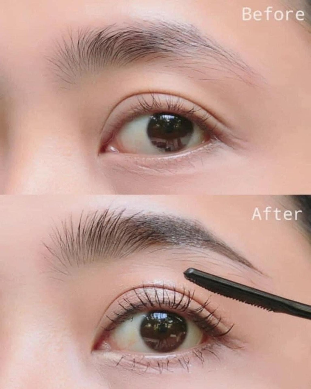 Mascara chuốt mi Nongchat Browit