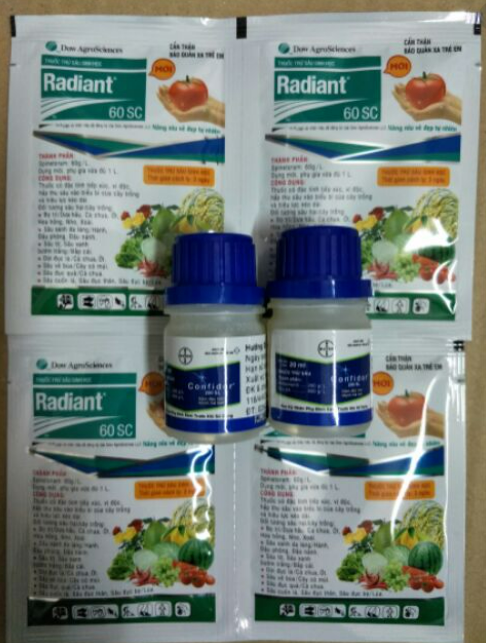 Combo diệt bọ trĩ 1 confido+ 1 radiant cho cây (diệt côn trùng)