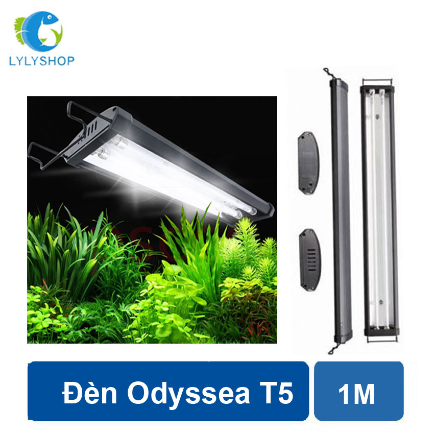 Đèn Odyssea 60cm cao cấp, giúp cây cối, rong rêu hồ bể cá cảnh