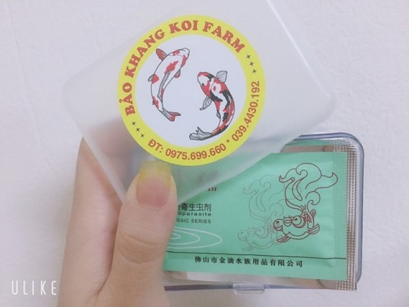Jindi - Th.uốc loại bỏ Trùng Mỏ Neo, Rận, Ký Sinh Trùng trên cá cảnh