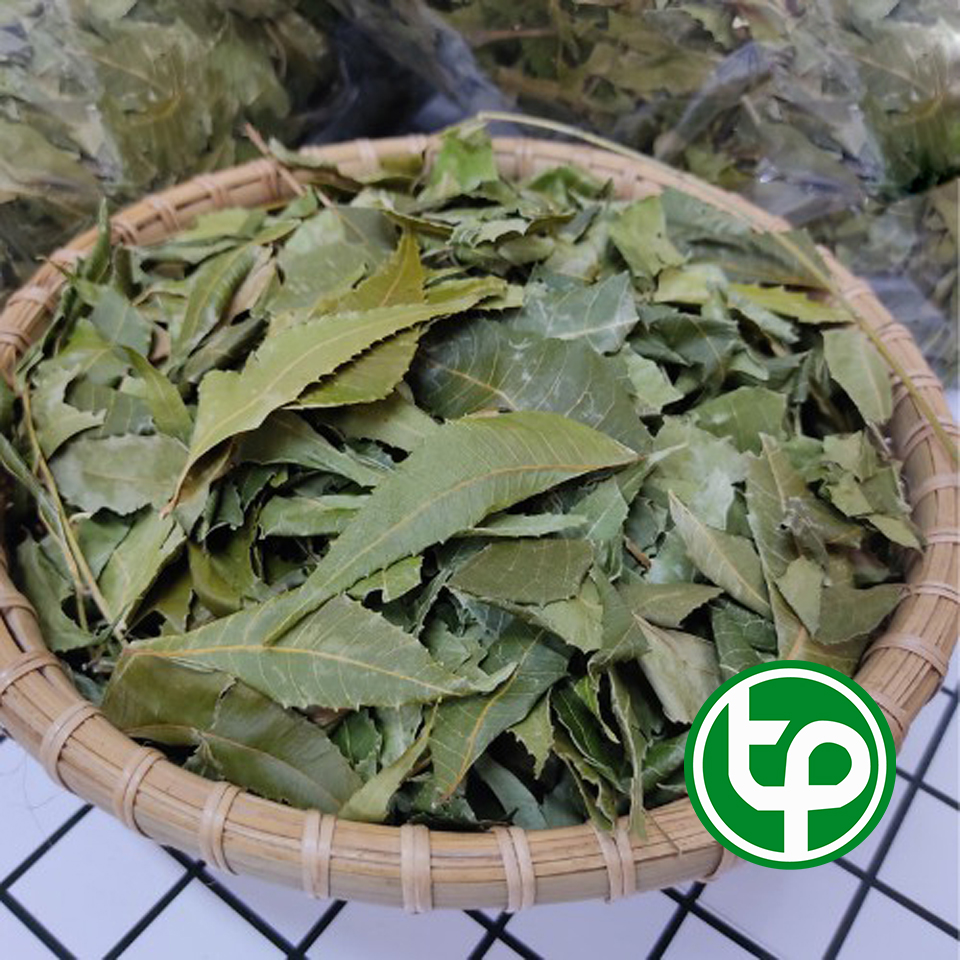 Dried Indian Neem Leaves 1kg - Specialized for Making Tea to Help Improve Liver Health - Grade 1 Product with High Quality - Tan Phat Herbal Medicine