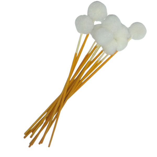[HCM][HÀNG CÓ SẴN]Combo 5 cây bông ráy(ngoáy) tai lông vịt-Dụng cụ ráy(ngoáy) tai