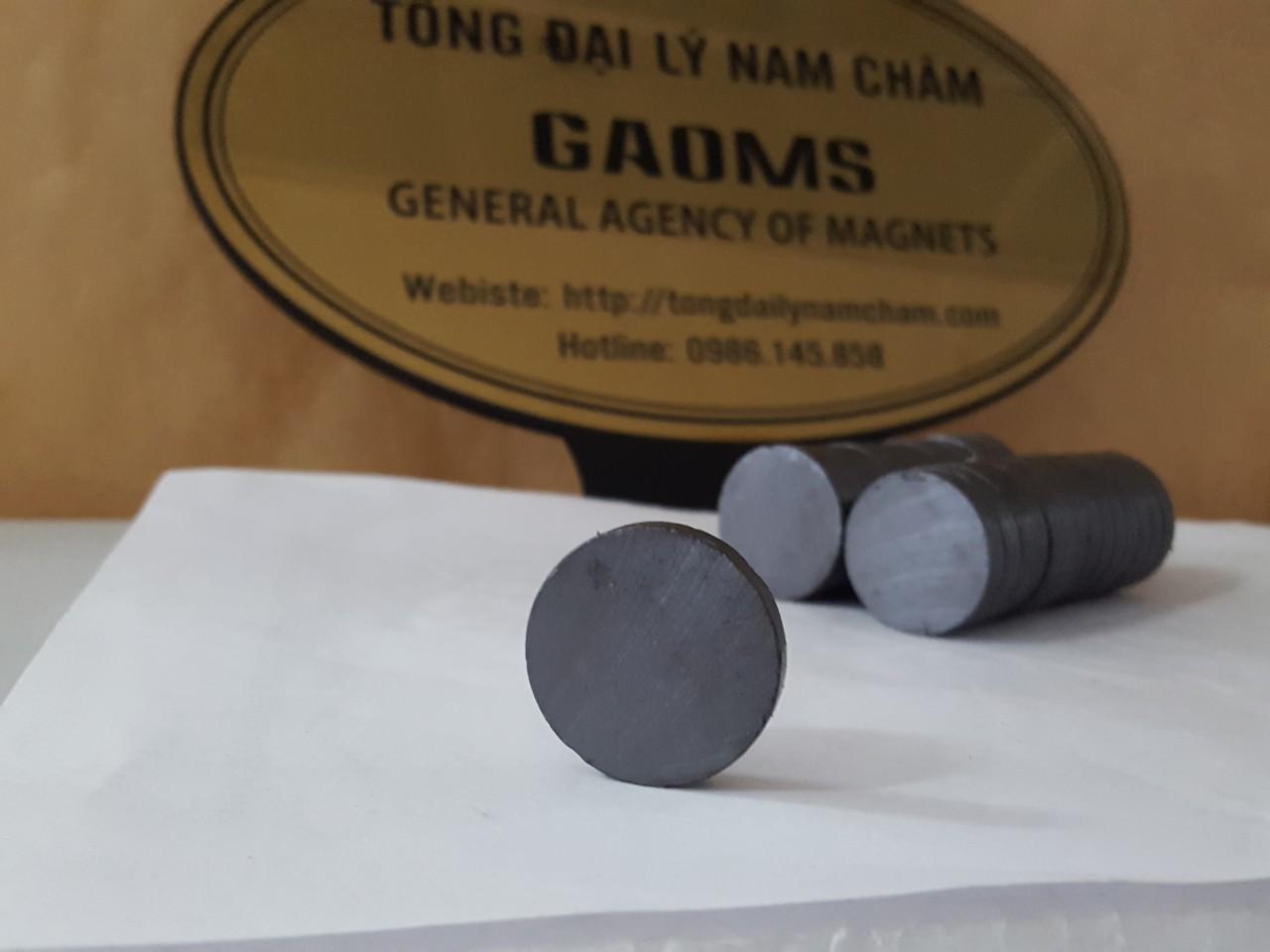 10 viên nam châm đen 30x5mm