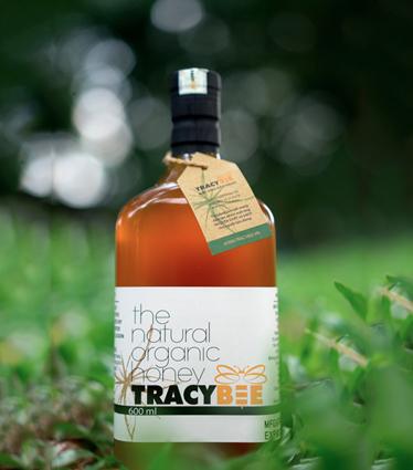 Mật ong TRACYBEE hoa cafe/chôm chôm 600 ml
