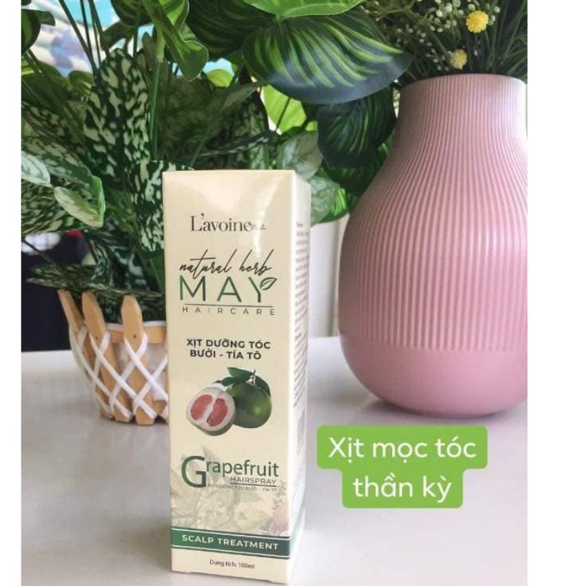 COMBO GỘI XẢ MAY - TINH CHẤT TÍA TÔ - LAVOINE
