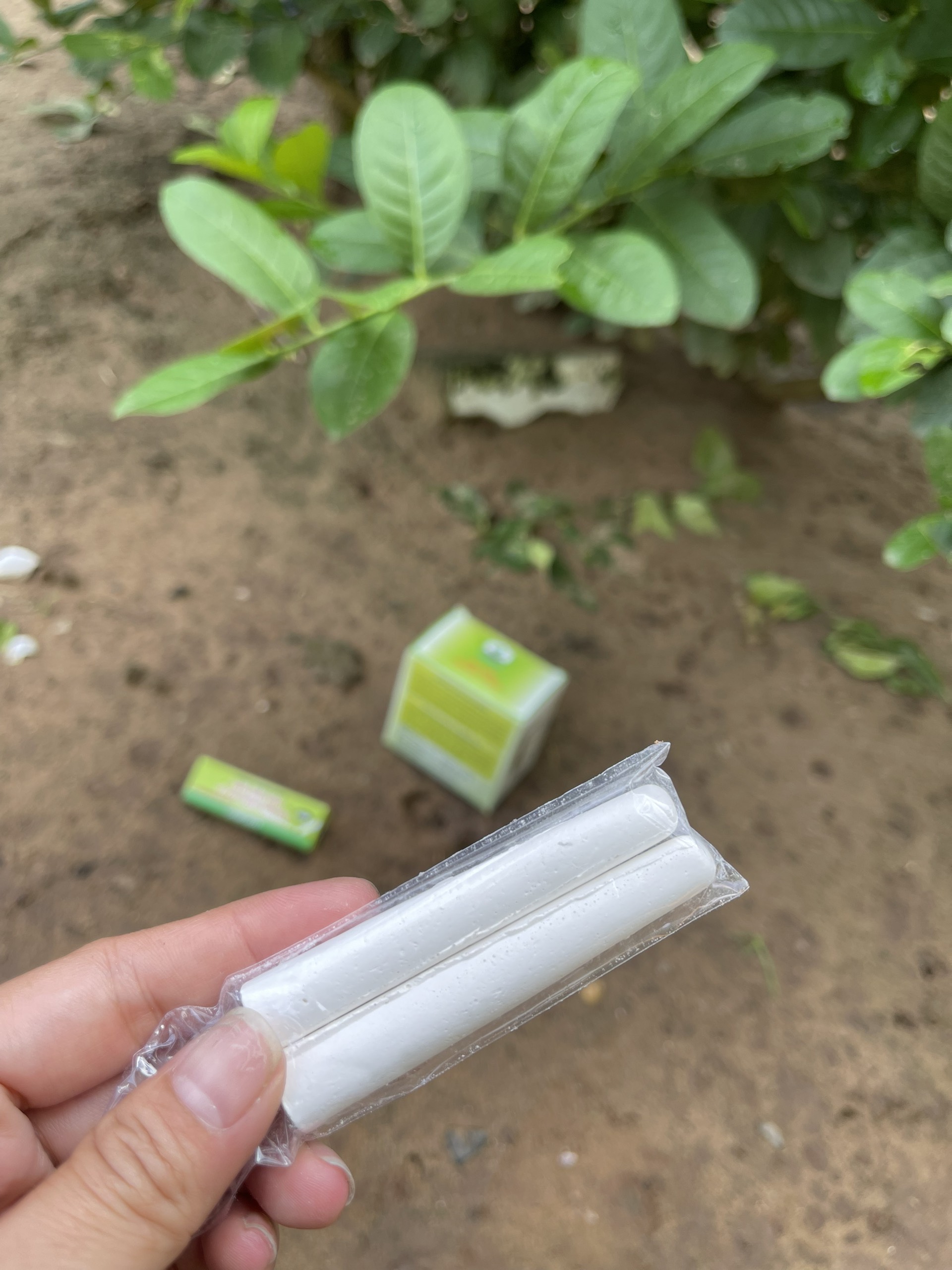 Phấn diệt kiến và côn trùng hộp 2 viên