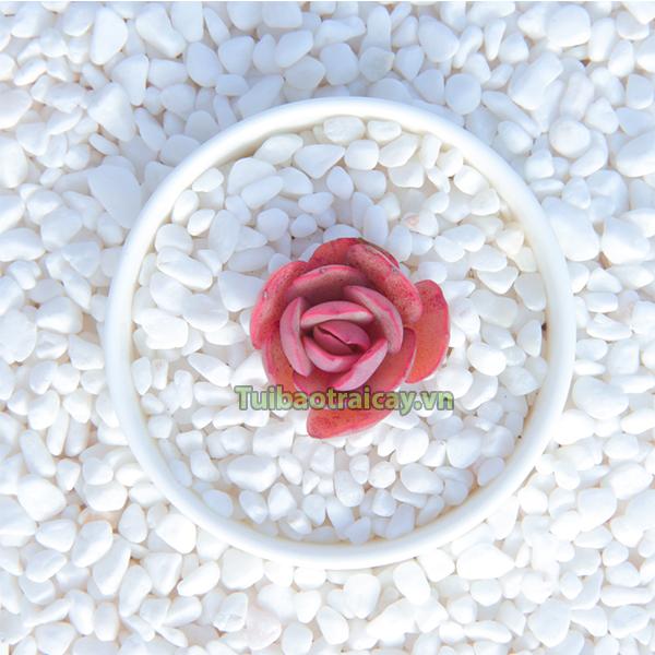 Sỏi đá trắng trang trí tiểu cảnh kích thước 2x3cm