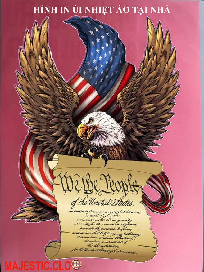 Hình ủi ép nhiệt-hình in áo- Logo American Eagle-Hình IN ÁO TẠI NHÀ RẤT ĐẸP-khuyến mãi -in pet chuyển nhiệt- ủi trực tiếp lên vải-MAJESTIC.CLO