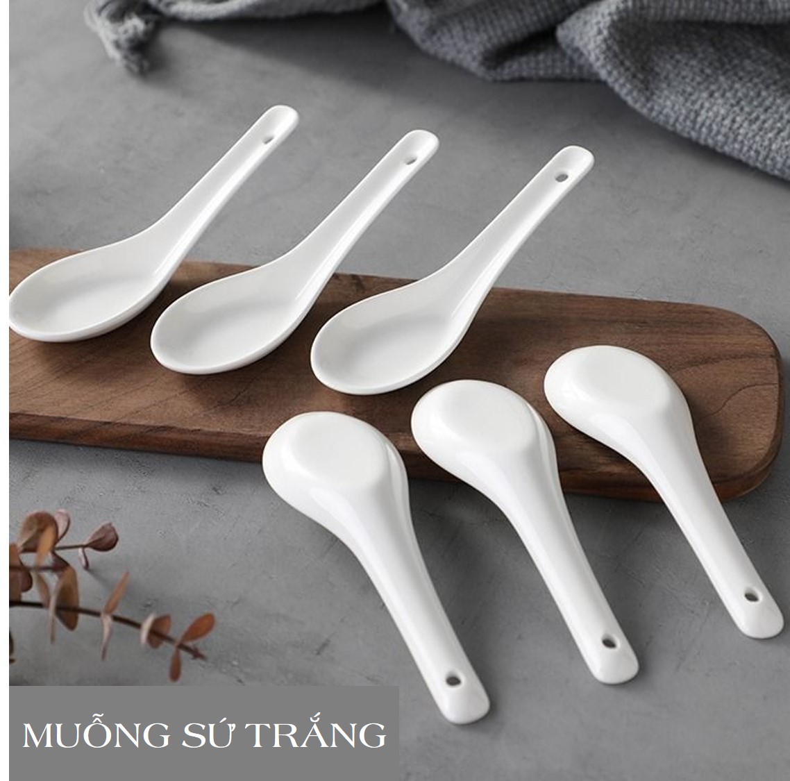 10 Ivory White Ceramic Spoons - Used for Restaurants and Cafes