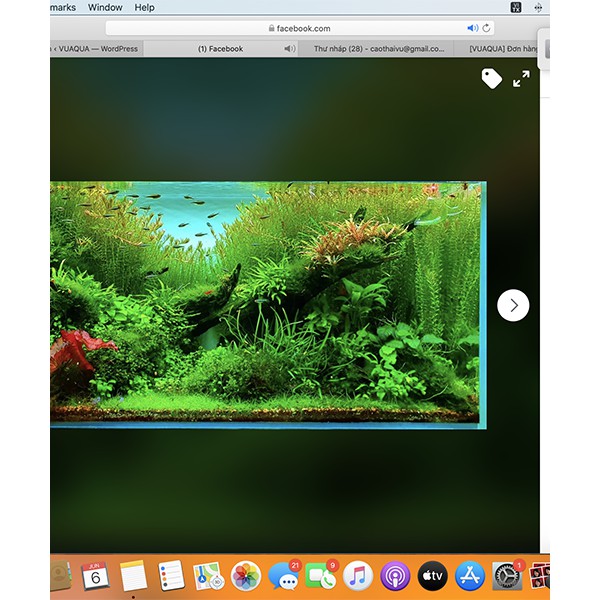 Cốt Nền Thủy Sinh Vũ Aqua, Cốt Nền Dinh Dưỡng 1L