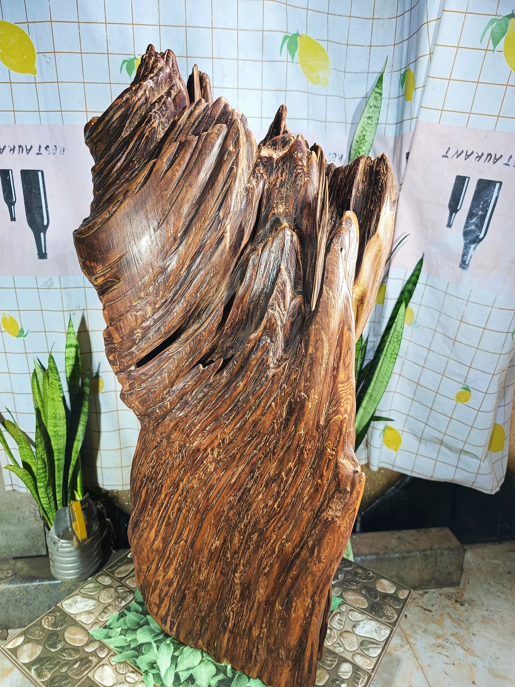 lũa gỗ thơm ngọc am đỏ hà giang