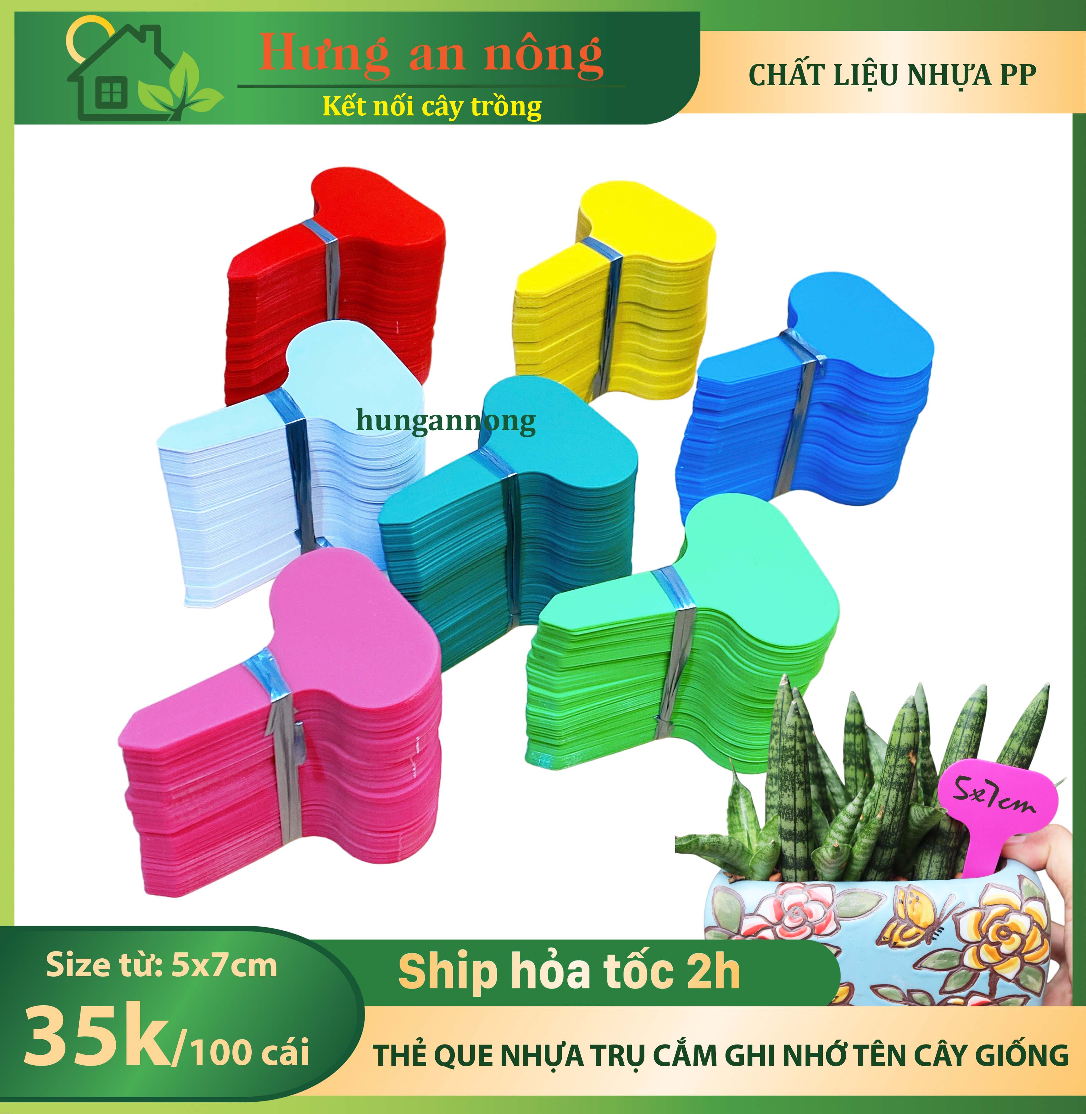 Set 100 Thẻ cắm name tag nhựa có 6 màu lựa chọn 5x7cm