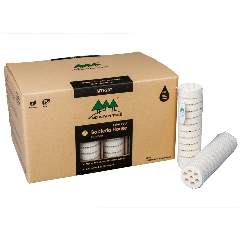 Sứ Củ Sen Mountain Tree ROOT I - Sứ Lọc Cân Bằng Độ PH Cho Bể Cá