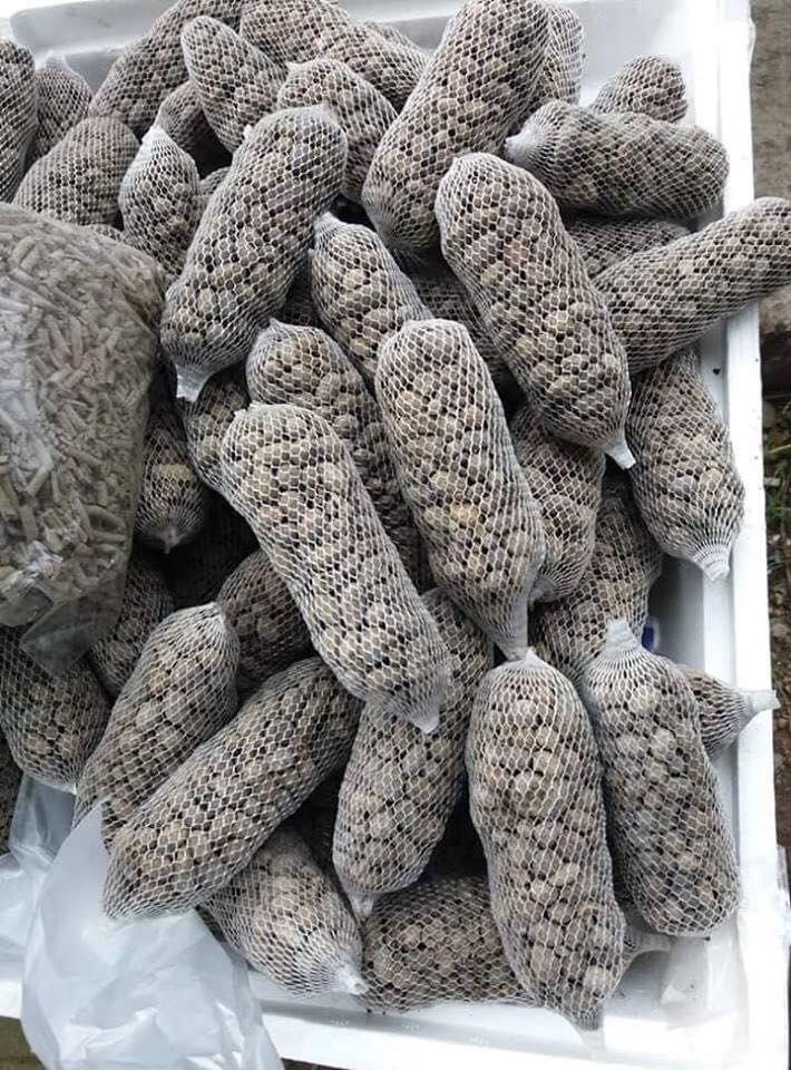 Combo 20  túi phân dê ủ nấm trichoderma dài 10CM