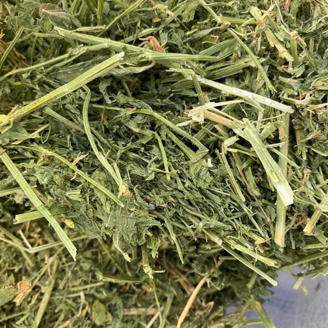 Cỏ khô dành cho thỏ bọ Alfalfa 500g