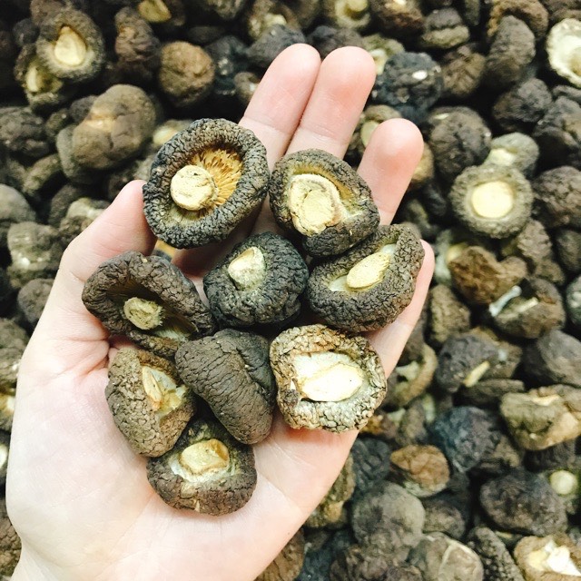 Nấm Đông cô loại vừa 100gr