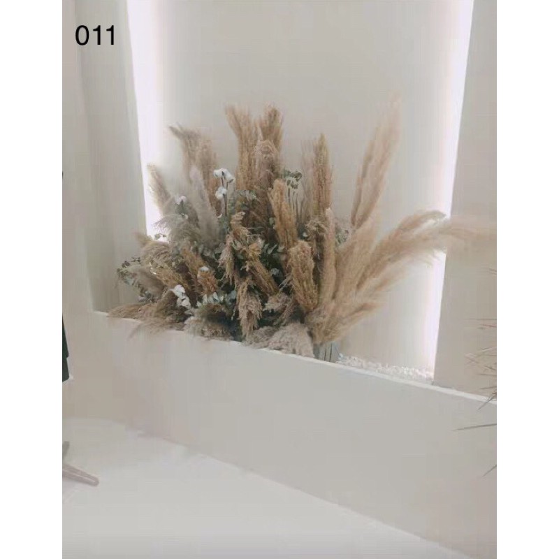 cỏ lau khô nhập khẩu