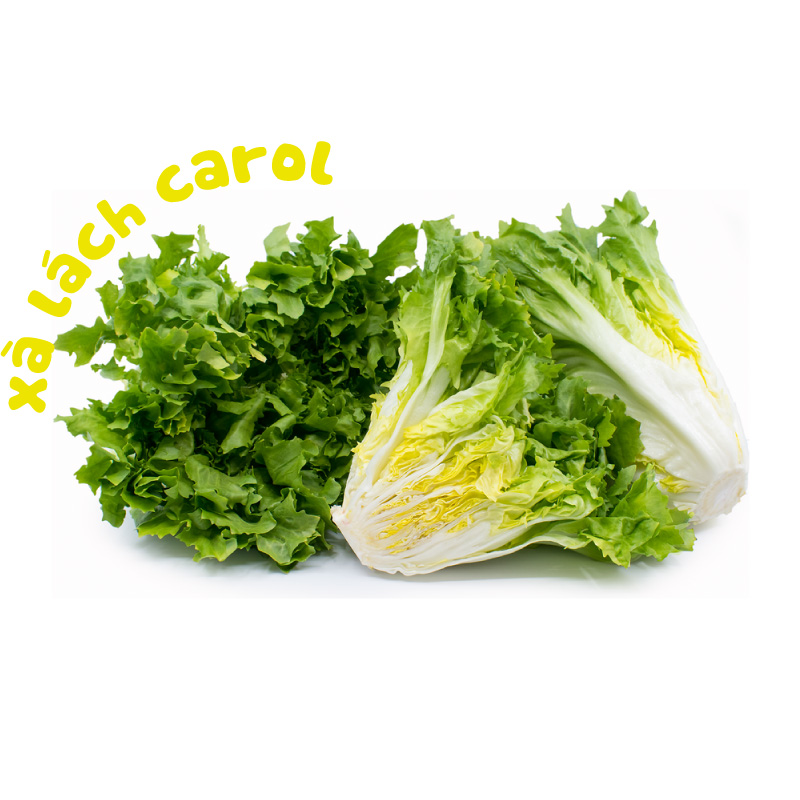 1GR - HẠT GIỐNG XÀ LÁCH GIÒN CAROL