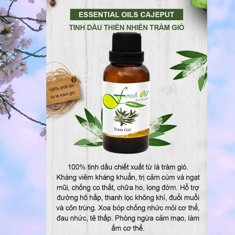 [HCM][Mua 1 tặng 1]Tinh Dầu Tràm Gió Cajuput 50ml