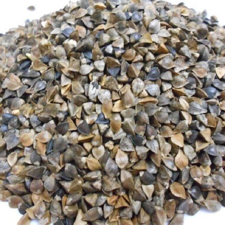 [HCM]500G HẠT BA KHÍA( hạt chưa chế biến)