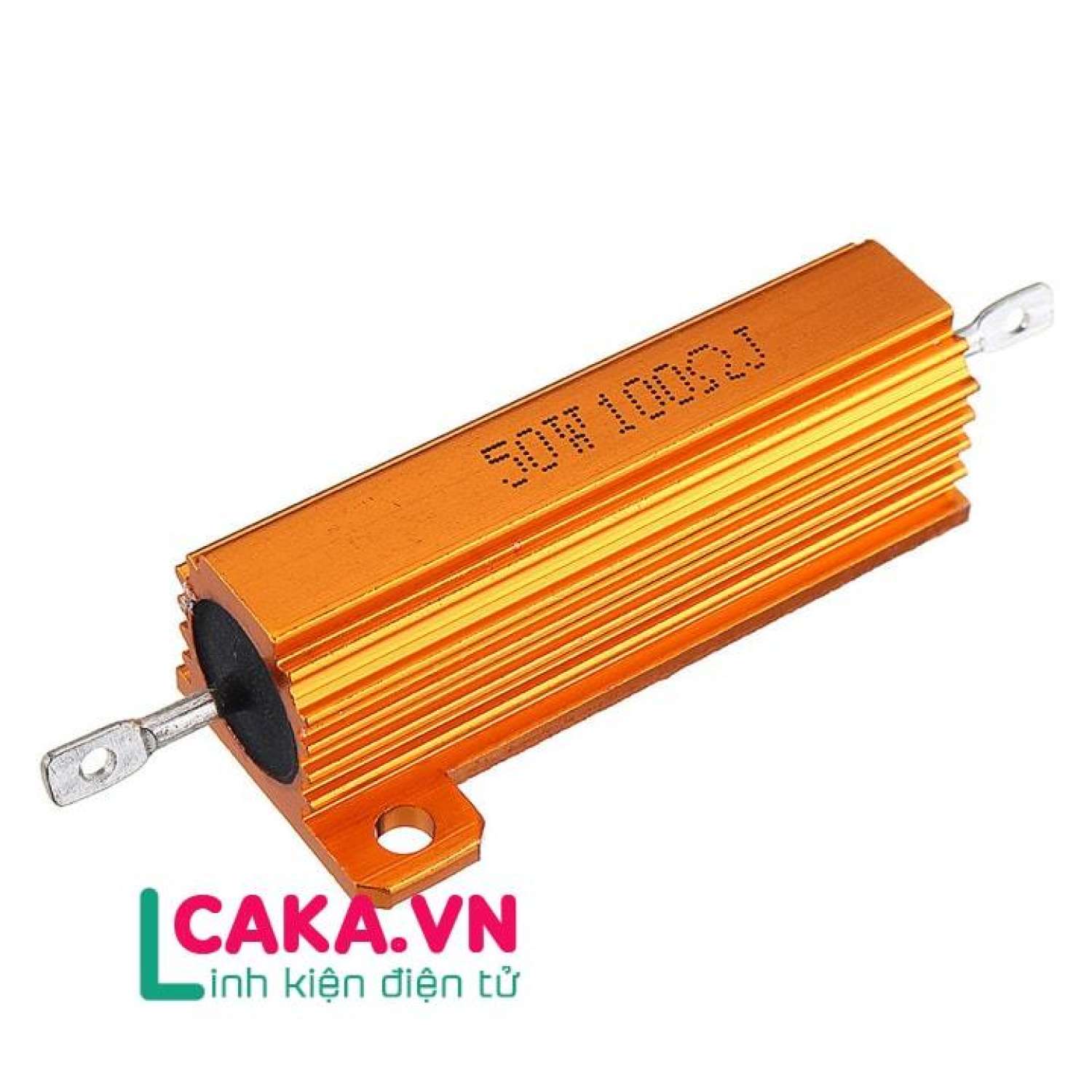 Điện trở nhôm 50w 100r