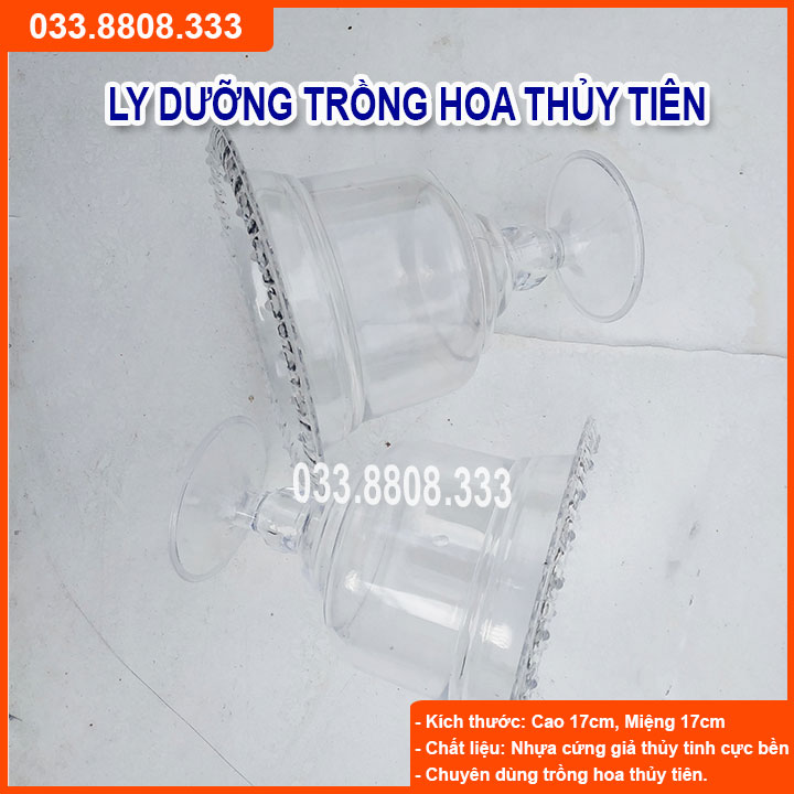 [Có sẵn] 10 Ly nhựa trồng hoa thủy tiên